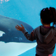 Illustration for article titled SeaWorld Will Finally Stop Using Killer Whales... After Just a Few More Years of Exploitation